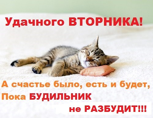 Позитивные открытки на вторник. Картинки про вторник скачать бесплатно.