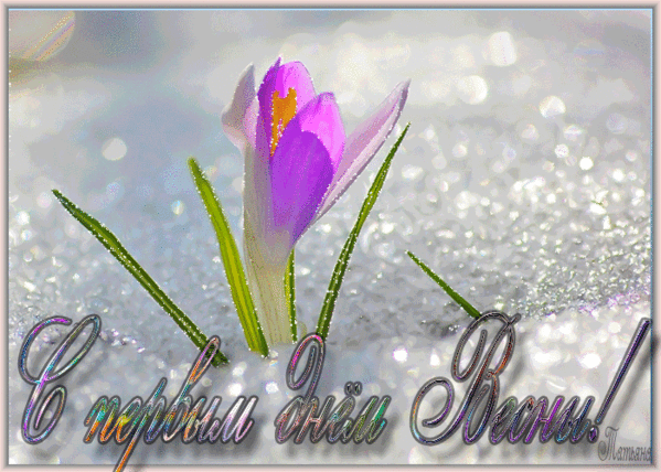 Красивые открытки с первым днем весны. Открытки с первым днем весны скачать бесплатно.