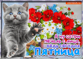 Прикольные открытки на пятницу. Открытки с пожеланиями на пятницу скачать бес...