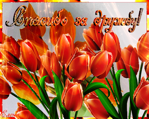 Красивые открытки для любимых друзей. Открытки о дружбе скачать бесплатно.