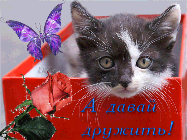 Красивые анимационные открытки давай дружить скачать бесплатно.