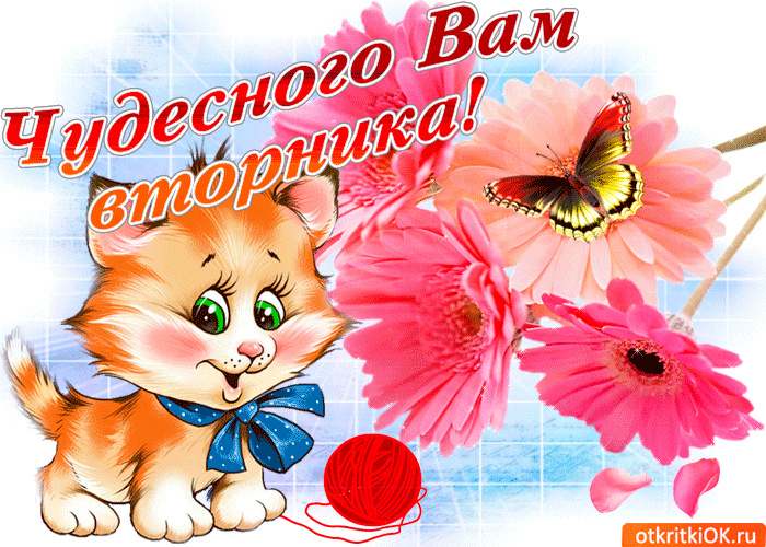 Позитивные открытки на вторник. Картинки про вторник скачать бесплатно.