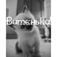 Скачать открытки с именем Витя. Открытки с днём рождения Виктору.