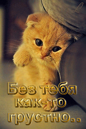 Открытки я жду тебя gif. Открытки возвращайся скорее скачать бесплатно.