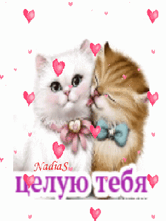 Оригинальные открытки с надписью целую. Открытки с поцелуями на любой вкус.