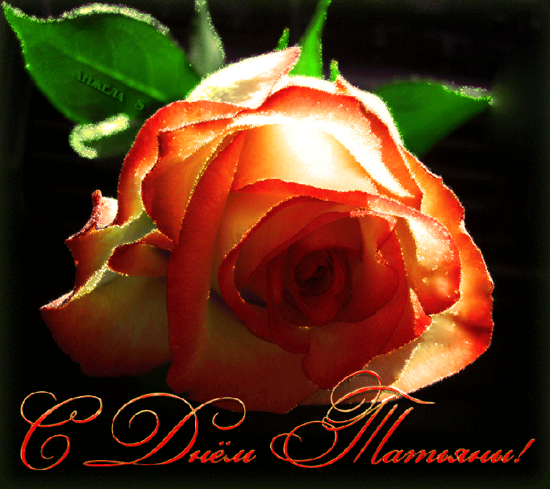 Открытки с поздравлениями на Татьянин День 25 января скачать бесплатно.