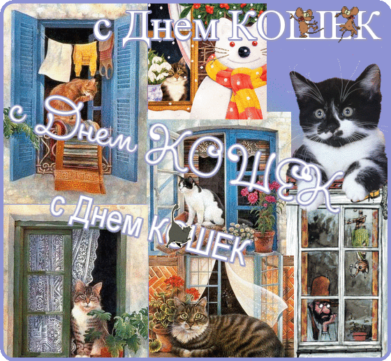 С днем кошек анимация. День кошек. день кошек открытки. с днём кошек поздравления. поздравления с днём кошек в картинках.