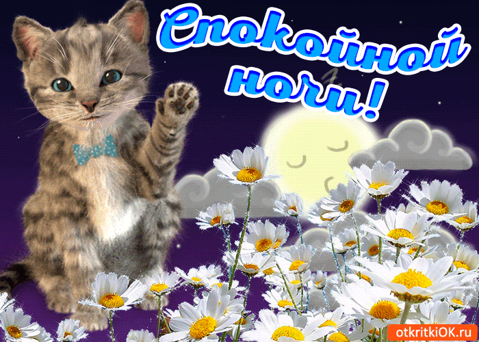 Gif анимации открыток спокойной ночи. Открытки с пожеланиями на ночь.