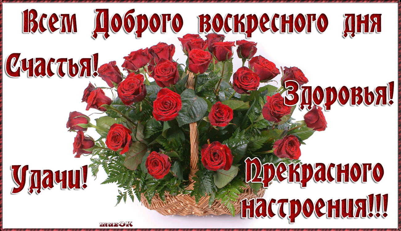 Мерцающие открытки про воскресенье. Открытки на воскресное утро.