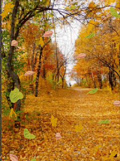 Оригинальные открытки с изображением осени. Открытки осень скачать бесплатно.