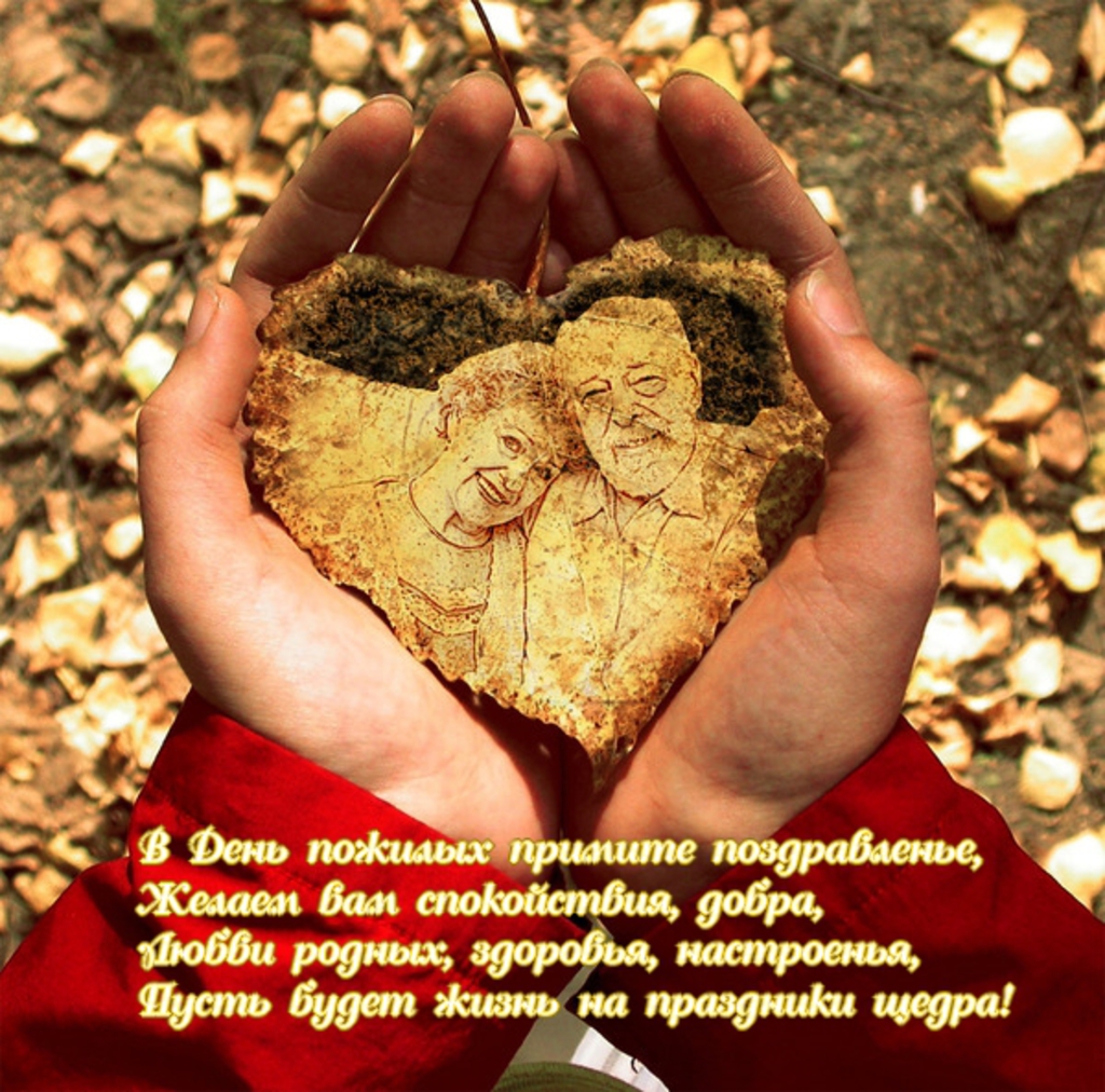 Поздравительные открытки с днем пожилого человека. Поздравления на день пожил...