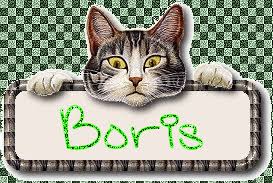 Открытки с днём рождения Борис. Красивые открытки с мужскими именами.