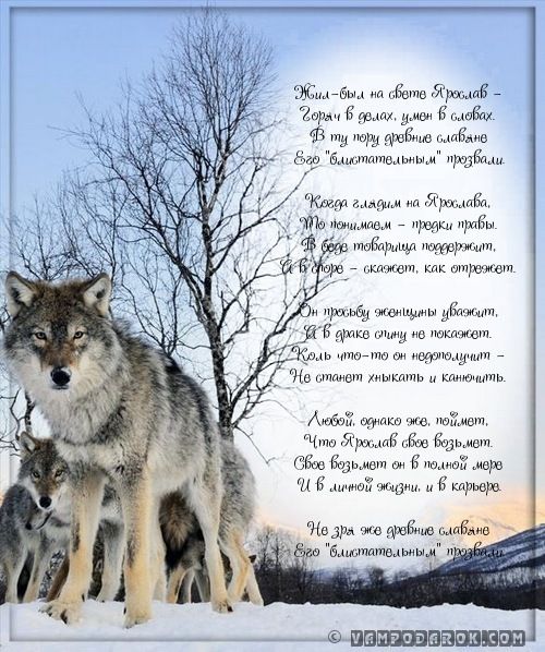 С днём рождения Ярослав открытки. Открытки с именем Ярик. Поздравительные отк...