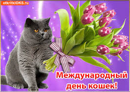 Скачать бесплатно прикольные открытки с днем кошек. Открытки с днем кошек gif.