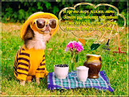 Открытки с пожеланиями хорошего отдыха. Красивые открытки отличного отпуска.