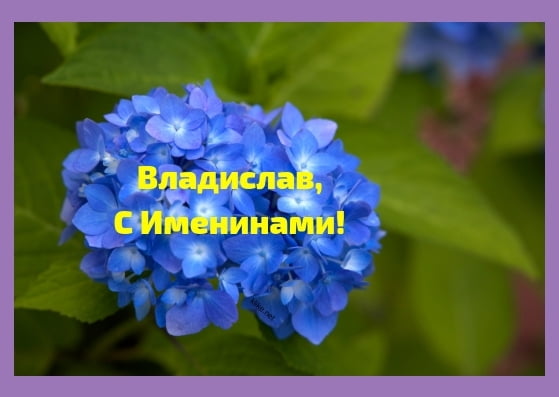 Поздравительные открытки с мужскими именами. Открытки с именем Владислав скач...