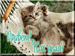 Красивые анимационные открытки с различными приветствиями скачать бесплатно.