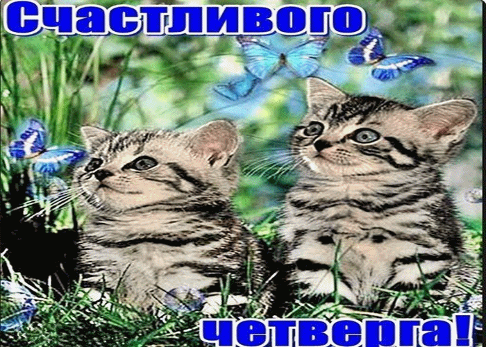 Открытки отличного четверга скачать бесплатно. Прикольные открытки на четверг...
