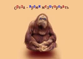 Открытки с пожеланиями отличной среды. Красивые открытки на среду.