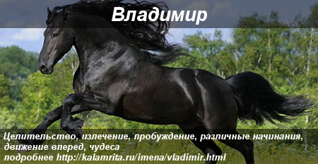 Открытки с именем Владимир скачать бесплатно. Открытки с мужскими именами онл...