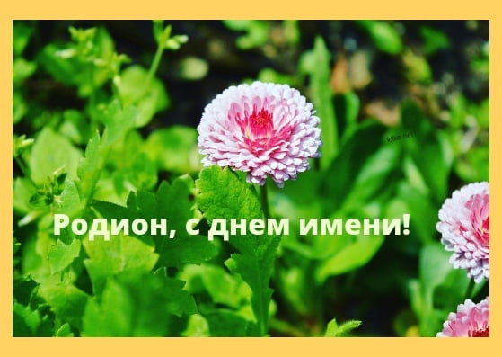 Открытки с именем Родион скачать бесплатно. Поздравительные открытки с именем...