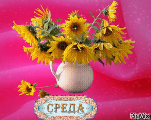 Открытки с пожеланиями отличной среды. Красивые открытки на среду.