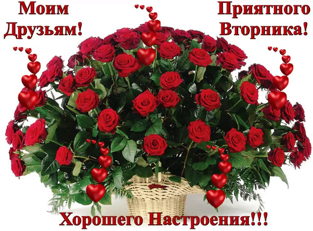 Позитивные открытки на вторник. Картинки про вторник скачать бесплатно.