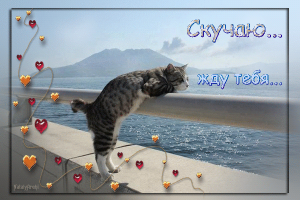 Анимационные открытки скучаю по тебе. Открытки я так скучаю скачать бесплатно.