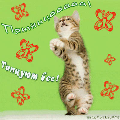 Прикольные открытки на пятницу. Открытки с пожеланиями на пятницу скачать бес...