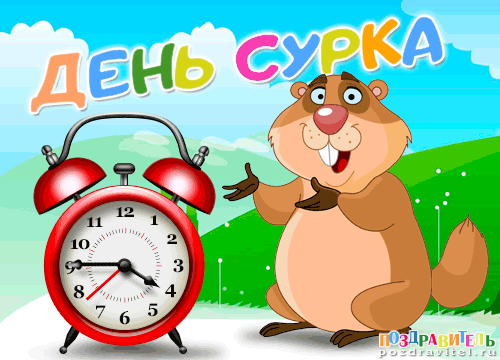 Веселые открытки с приколами на день сурка скачать бесплатно