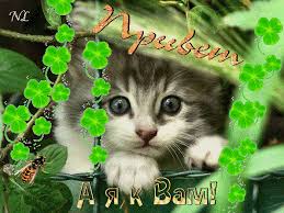 Красивые анимационные открытки с различными приветствиями скачать бесплатно.