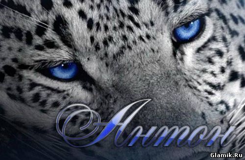 Открытки с именем Антон скачать бесплатно. Поздравительные открытки с именем ...