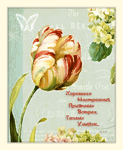 Позитивные открытки с пожеланиями хорошего настроения скачать бесплатно.