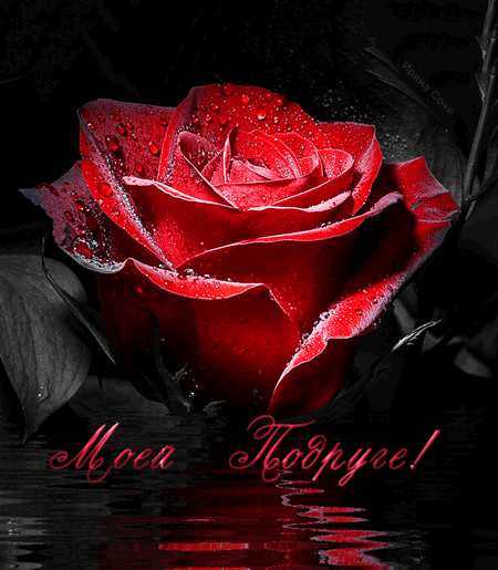 Красивые открытки для любимых друзей. Открытки о дружбе скачать бесплатно.