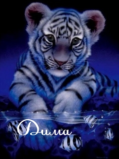 Открытки с именем Дмитрий скачать бесплатно. Анимационные открытки с именем Д...