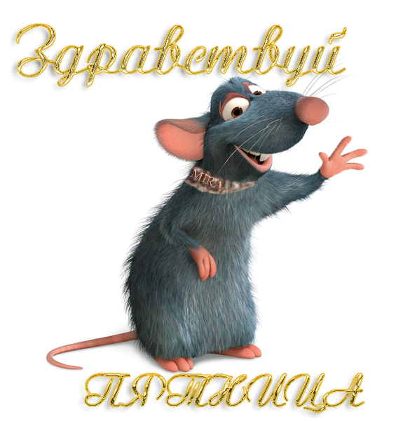 Прикольные открытки на пятницу. Открытки с пожеланиями на пятницу скачать бес...