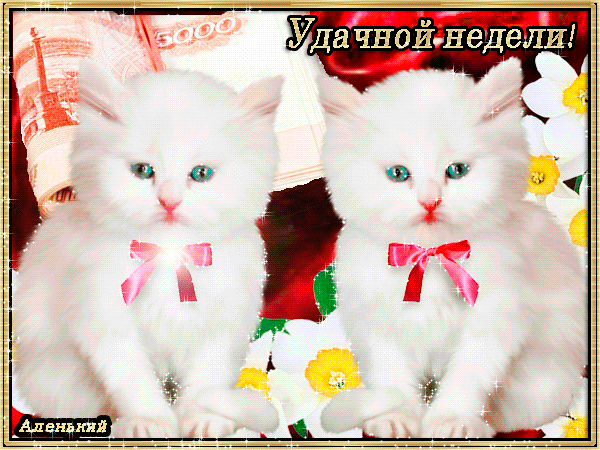 Открытки желаю удачи скачать бесплатно. Красивые открытки с пожеланиями удачи.