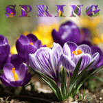 Красивые мерцающие открытки на весеннюю тематику. Скачать бесплатно открытки ...