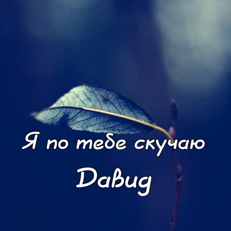 Открытки с именем Давид скачать бесплатно. Открытки с именем Давид gif.