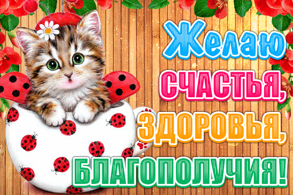 Открытки с пожеланиями крепкого здоровья скачать бесплатно. 