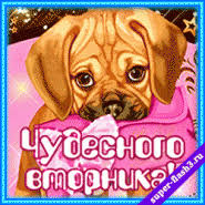 Позитивные открытки на вторник. Картинки про вторник скачать бесплатно.