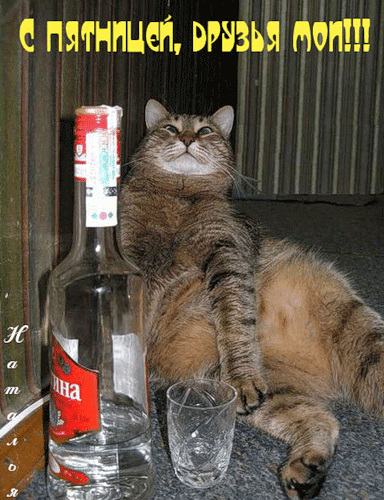 Прикольные открытки на пятницу. Открытки с пожеланиями на пятницу скачать бес...