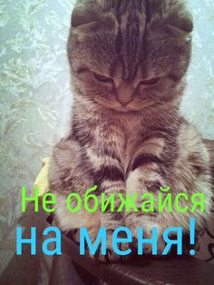 Красивые открытки с извинениями скачать бесплатно. Открытки прости меня gif.