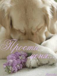 Красивые открытки с извинениями скачать бесплатно. Открытки прости меня gif.