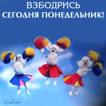 Открытки с наилучшими пожеланиями на понедельник. Открытки на понедельник ска...