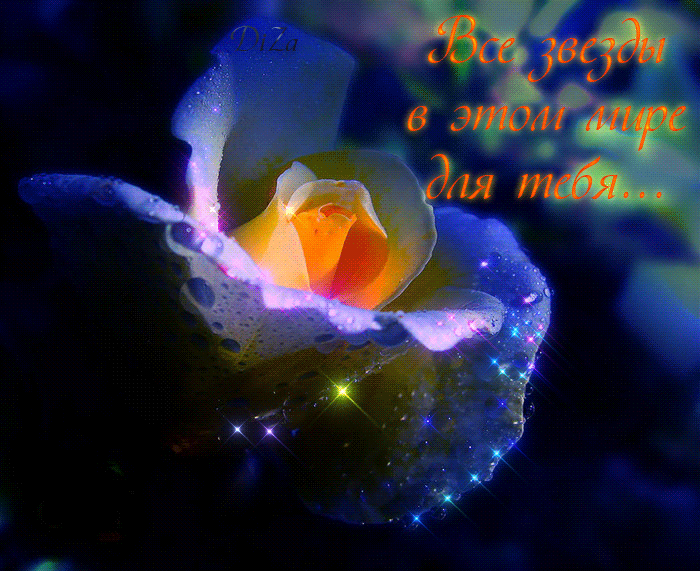 Красивые открытки для тебя скачать бесплатно. Анимационные открытки тебе gif