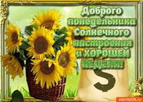 Забавные открытки с пожеланиями удачной недели. Открытки удачной недели скача...