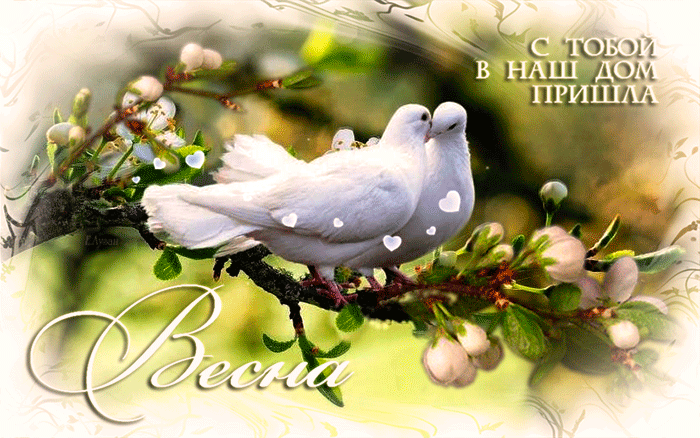 Красивые мерцающие открытки на весеннюю тематику. Скачать бесплатно открытки ...