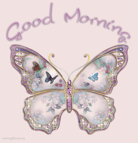 Мерцающие открытки с бабочками. Открытки с красивыми бабочками скачать беспла...