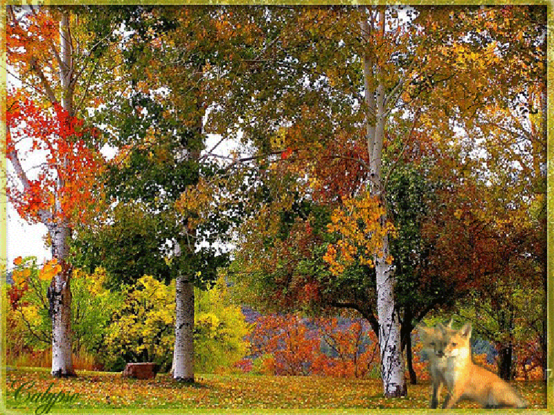 Оригинальные открытки с изображением осени. Открытки осень скачать бесплатно.